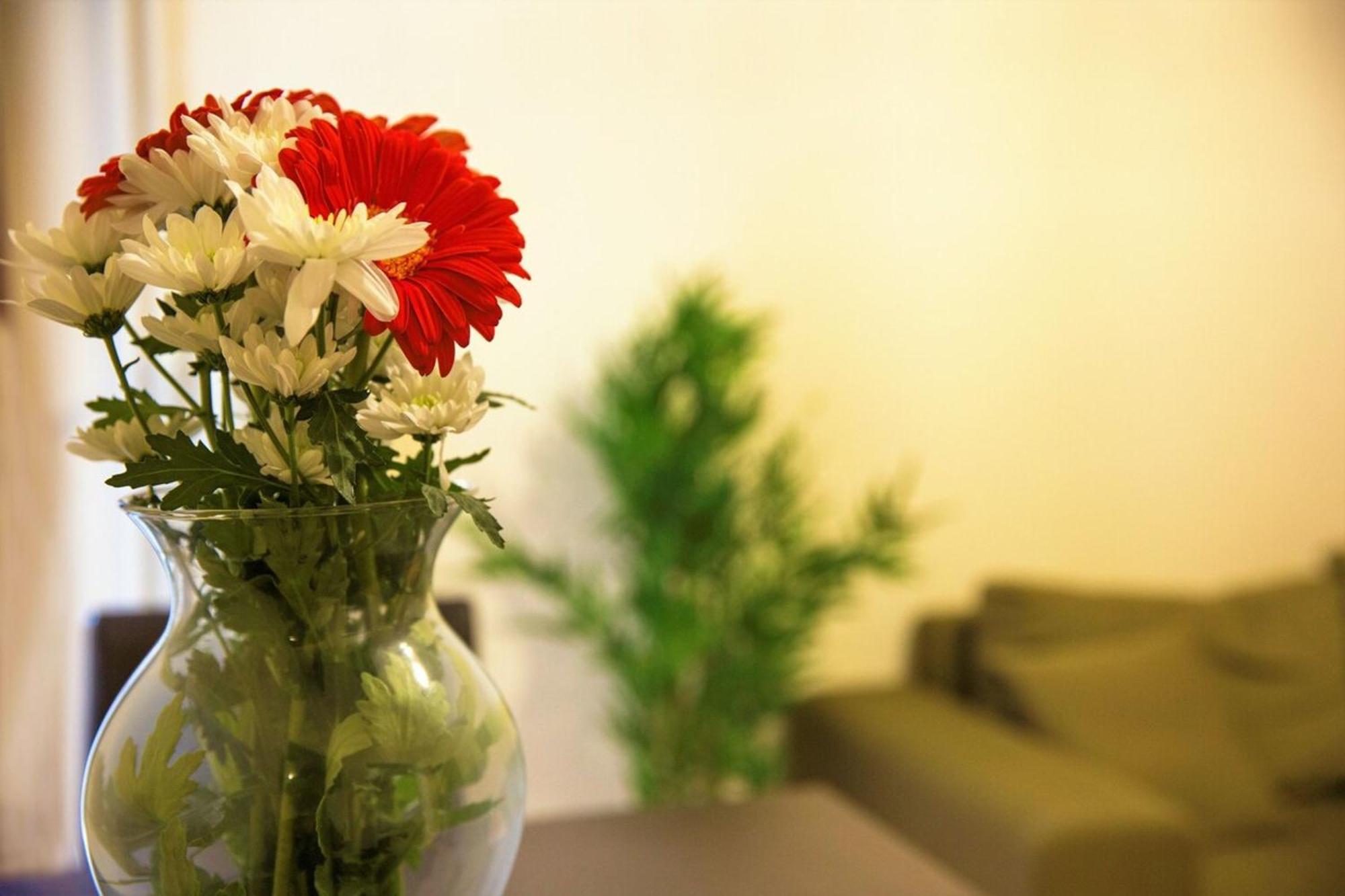 Peaceful Renovated Apartment Near Lycabettus Hill Ateny Zewnętrze zdjęcie